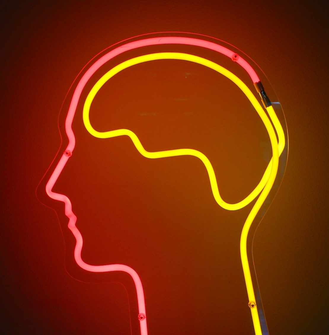 Why upgrading your brain could make you less human