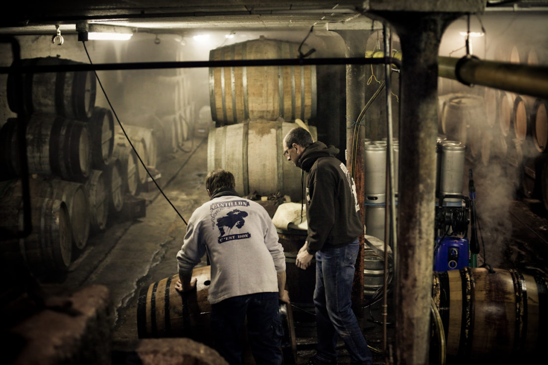Perfect pitch brewing
