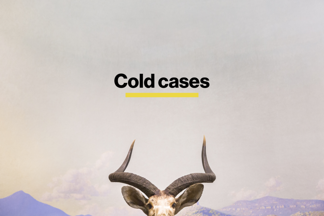 Cold cases